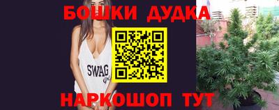 сатива Краснодар