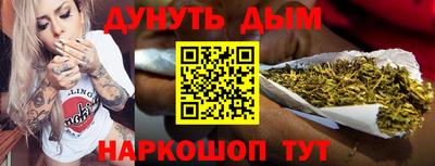 сатива Краснодар