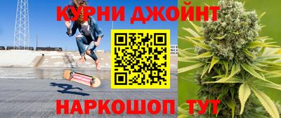 сатива Краснодар