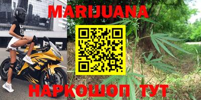 крисы Краснознаменск