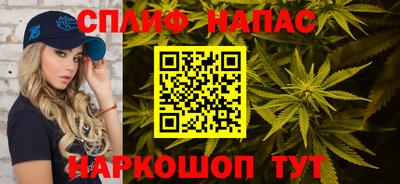 крисы Краснознаменск