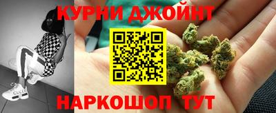 крисы Краснознаменск