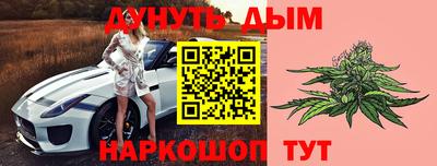 сатива Краснодар