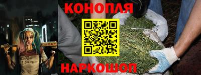 крисы Краснознаменск
