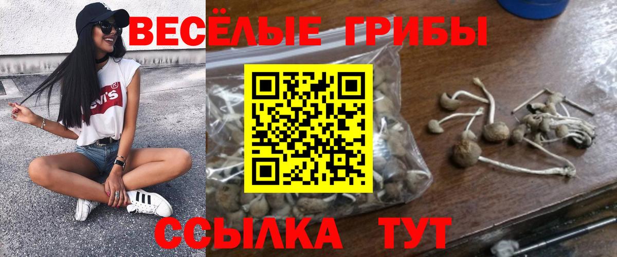Чита  Галлюциногенные грибы мухоморы  Псилоцибиновые грибы прущие грибы  Вход с VPN 